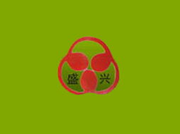 數字化轉型助力區域擴張 天津盛興食品廠在常州市場的代理機遇與軟件服務支持